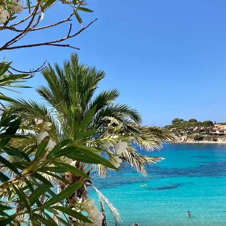 Nocleg ze śniadaniem Pandora Sanary-sur-Mer