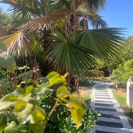 Pandora Nocleg ze śniadaniem