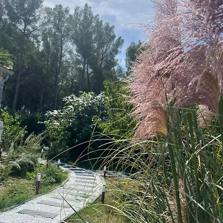 Nocleg ze śniadaniem Pandora 5*